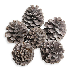 Šišky 6ks/6cm bělená - velkoobchod, dovoz květin, řezané květiny Brno