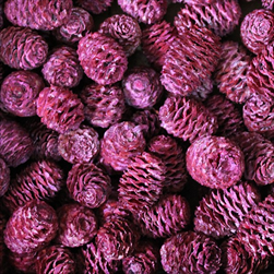 SABULOSUM LOOSE FROSTED RED POLY BAG ( 1 kg ) - velkoobchod, dovoz květin, řezané květiny Brno