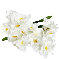 Narcisy kytice textil 41cm bílá - velkoobchod, dovoz květin, řezané květiny Brno