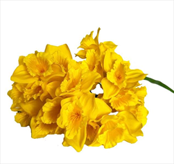 Narcisy kytice textil 41cm žlutá - velkoobchod, dovoz květin, řezané květiny Brno