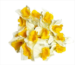 Narcisy kytice textil 41cm žlutá/bílá - velkoobchod, dovoz květin, řezané květiny Brno