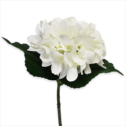 Hortenzie textil 16/33cm bílá - velkoobchod, dovoz květin, řezané květiny Brno