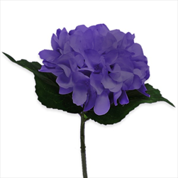 Hortenzie textil 16/33cm fialová - velkoobchod, dovoz květin, řezané květiny Brno