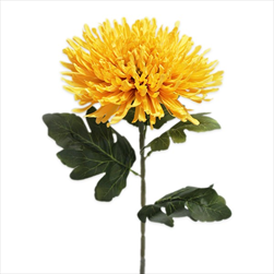Chryzánthéma textil 76cm žlutá - velkoobchod, dovoz květin, řezané květiny Brno