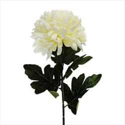 Chryzanthéma textil 75cm krém - velkoobchod, dovoz květin, řezané květiny Brno