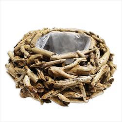 Obal větve pr.15/33V15cm natural - velkoobchod, dovoz květin, řezané květiny Brno