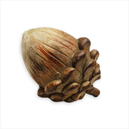 Žalud polyresin 8cm - velkoobchod, dovoz květin, řezané květiny Brno