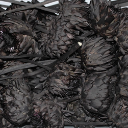 ARTICHOKE FLOWER SMALL DIP DYED BLACK TRAY ( 50 PC ) - velkoobchod, dovoz květin, řezané květiny Brno