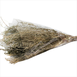 STOEBE   SLEEVE ( 150 g ) - velkoobchod, dovoz květin, řezané květiny Brno