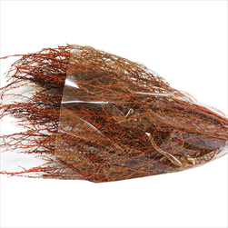 STOEBE  DIP DYED ORANGE SLEEVE ( 150 g ) - velkoobchod, dovoz květin, řezané květiny Brno