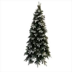 Jedle zasněžená 210cm - velkoobchod, dovoz květin, řezané květiny Brno