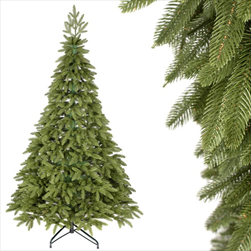 Jedle Naďa  250cm - velkoobchod, dovoz květin, řezané květiny Brno