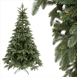 Jedle Naďa 280cm - velkoobchod, dovoz květin, řezané květiny Brno