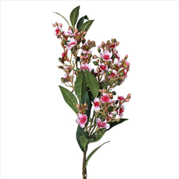 Jarní větev pvc 64cm růžová - velkoobchod, dovoz květin, řezané květiny Brno