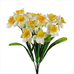 Narcisy guma pvc x15/34cm bílá - velkoobchod, dovoz květin, řezané květiny Brno