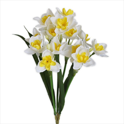 Narcisy kytice polyester x15/47cm bílá - velkoobchod, dovoz květin, řezané květiny Brno