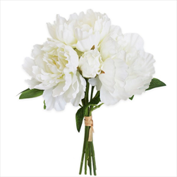 Pivoňky kytice x7/32cm krém - velkoobchod, dovoz květin, řezané květiny Brno