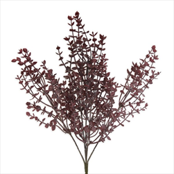 Eucalyptus keřík 36cm bordó - velkoobchod, dovoz květin, řezané květiny Brno