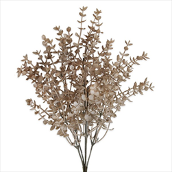 Eucalyptus keřík 36cm tm.krém - velkoobchod, dovoz květin, řezané květiny Brno