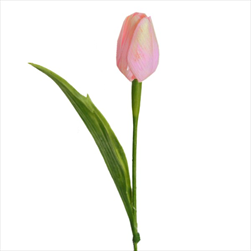 Tulipán latex 41cm růžová - velkoobchod, dovoz květin, řezané květiny Brno