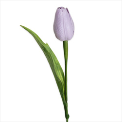 Tulipán latex 41cm sv.fialová - velkoobchod, dovoz květin, řezané květiny Brno