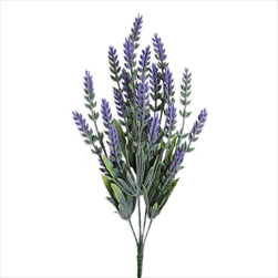 Levandule pvc 36cm - velkoobchod, dovoz květin, řezané květiny Brno