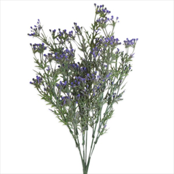 Keřík pvc 36cm zelená/fialová - velkoobchod, dovoz květin, řezané květiny Brno