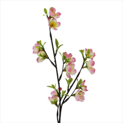 Jabloň větev 46cm - velkoobchod, dovoz květin, řezané květiny Brno