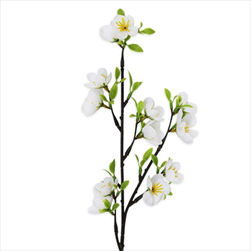 Třešeň větev 46cm - velkoobchod, dovoz květin, řezané květiny Brno