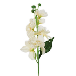 Delphinium 42cm sv.žlutá - velkoobchod, dovoz květin, řezané květiny Brno