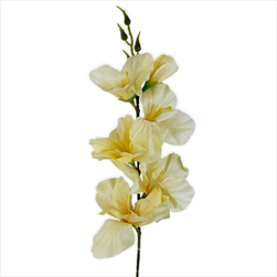 Mečík 53cm sv.žlutá - velkoobchod, dovoz květin, řezané květiny Brno