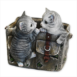 Koťátka obal polyston 23,5cm - velkoobchod, dovoz květin, řezané květiny Brno