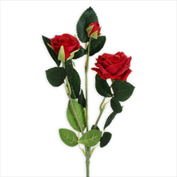 Růže trsová větev x3/38cm červená - velkoobchod, dovoz květin, řezané květiny Brno