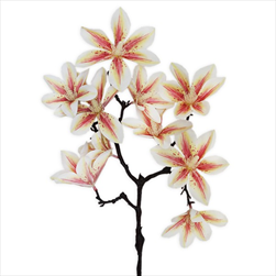 Magnólie větev 58cm bílá-oranž - velkoobchod, dovoz květin, řezané květiny Brno