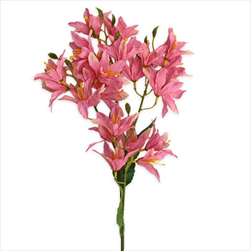 Hyacint větev x24/66cm růžová - velkoobchod, dovoz květin, řezané květiny Brno