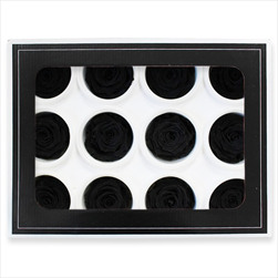 Stabilizovaná růže hlava 12ks/3,5cm černá - velkoobchod, dovoz květin, řezané květiny Brno