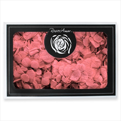 Stabilizovaná  hortenzie BOX růžová - velkoobchod, dovoz květin, řezané květiny Brno