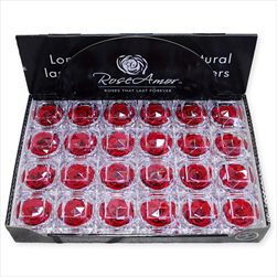 Krabička stabil.růže 4,8cm červená - velkoobchod, dovoz květin, řezané květiny Brno