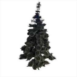 Borovice žilková 180 cm - velkoobchod, dovoz květin, řezané květiny Brno