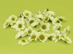 Mini čemeřice textil 40ks/3,5cm bílá - velkoobchod, dovoz květin, řezané květiny Brno