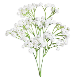 Gypsophila umělá 64cm bílá - velkoobchod, dovoz květin, řezané květiny Brno