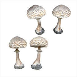 KE Houba bedla polyston 11 cm - velkoobchod, dovoz květin, řezané květiny Brno