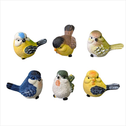KE Ptáček barevný 6 x 5 cm - mix 6 druhů - velkoobchod, dovoz květin, řezané květiny Brno