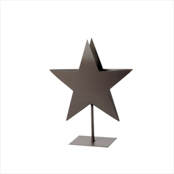 WMG Hvězda kov v.30cm - velkoobchod, dovoz květin, řezané květiny Brno