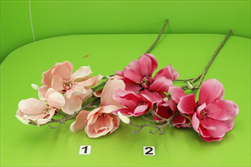 UK Magnolie 85cm mix - velkoobchod, dovoz květin, řezané květiny Brno