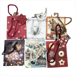 Taška vánoční UKFS/M 14 x 11 x 6 cm - velkoobchod, dovoz květin, řezané květiny Brno