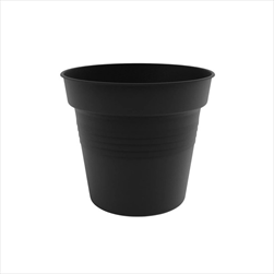 Plast obal Camelie 10cm antracit  - velkoobchod, dovoz květin, řezané květiny Brno