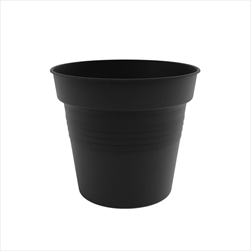 Plast obal Camelie 13cm antracit  - velkoobchod, dovoz květin, řezané květiny Brno