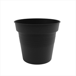 Plast obal Camelie 14cm antracit  - velkoobchod, dovoz květin, řezané květiny Brno