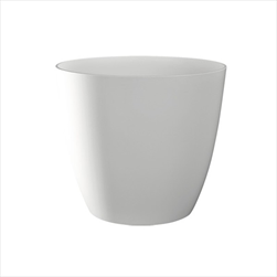 Plast obal Ella 13cm lesk bílý - velkoobchod, dovoz květin, řezané květiny Brno